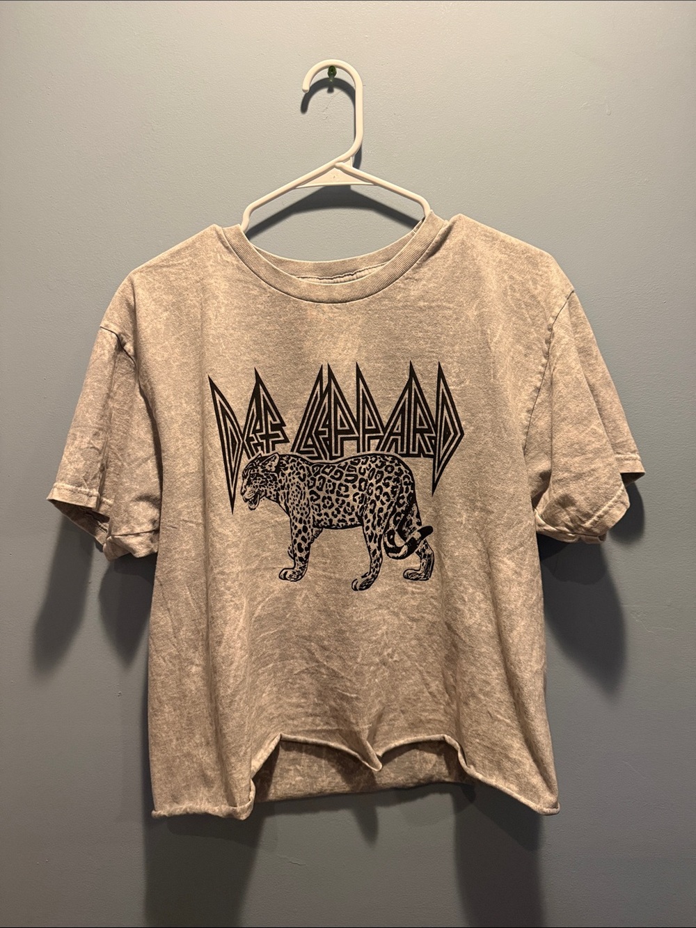 Def Leppard Graphic Tee Cropped